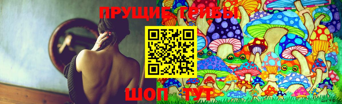 Псилоцибиновые грибы мухоморы Тихвин